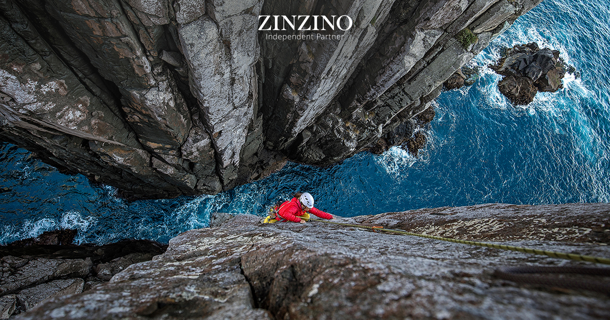 Zinzino action 3